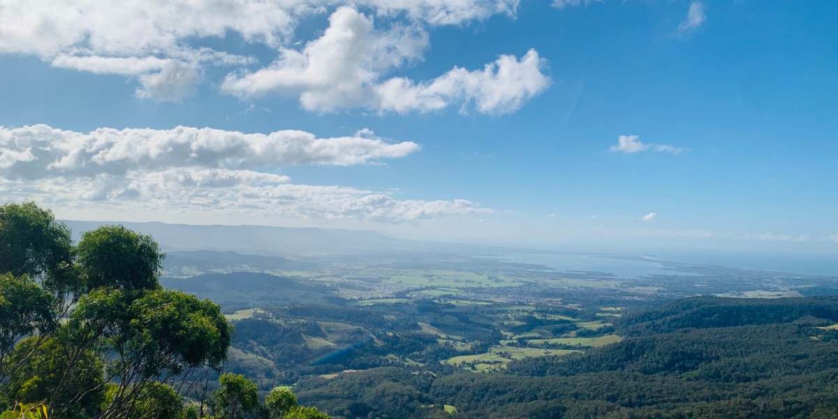 VM Bushfires Photo by Shirley Wang on Unsplash